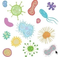 2026010816172100.002