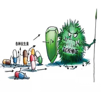 2026010816172100.006